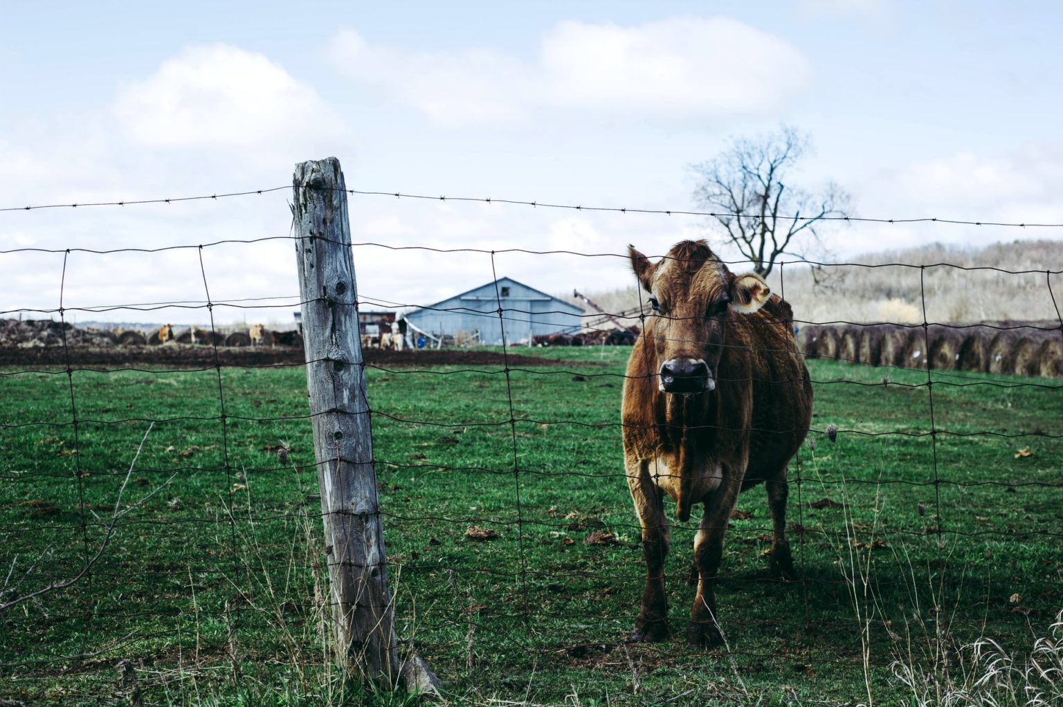 La gestion de l’offre, une démocrature agricole – Institut de recherche